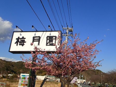 20150309a.JPG