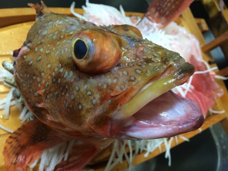 20150404a.JPG