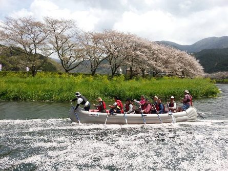 松崎町花見.jpg