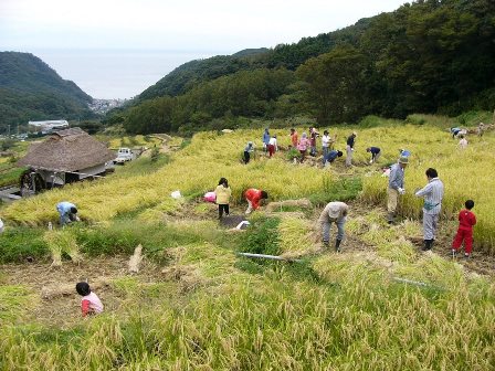 石部棚田収穫祭.jpg