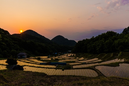 石部棚田（夕景）.jpg